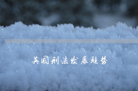 英国刑法发展趋势 英国刑法发展趋势