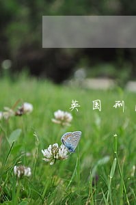 英国刑法最低年龄 英国刑法最低年龄