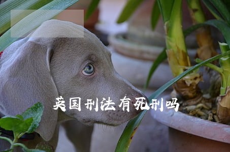 英国刑法有死刑吗