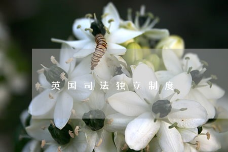 英国司法独立制度 英国司法独立制度