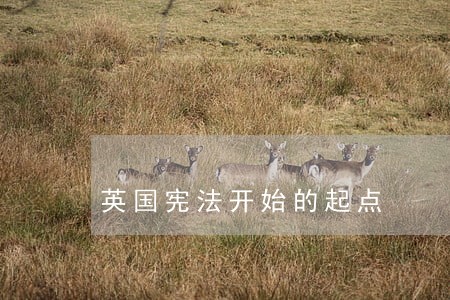 英国宪法开始的起点 英国宪法开始的起点