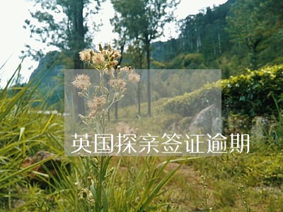 英国探亲签证逾期 英国探亲签证逾期