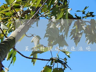 英国种族歧视违法吗