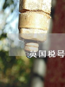 英国税号申报逾期 英国税号申报逾期