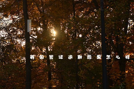 英国签证逾期后果怎么样 英国签证逾期后果怎么样