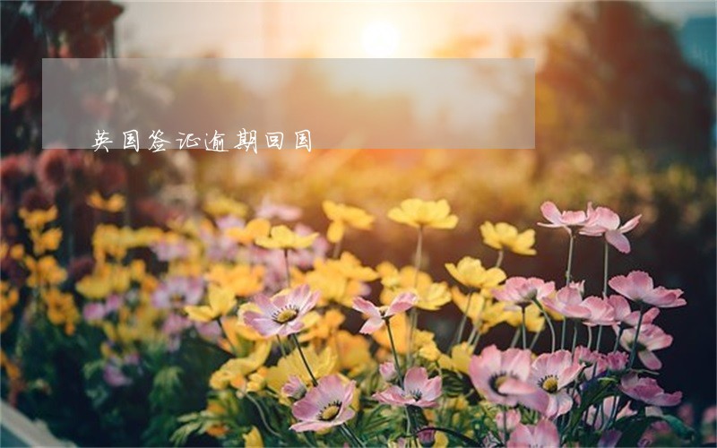 英国签证逾期回国 英国签证逾期回国