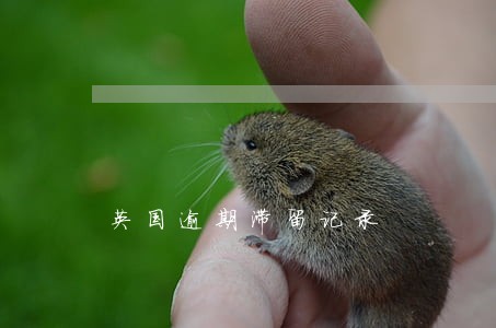 英国逾期滞留记录 英国逾期滞留记录