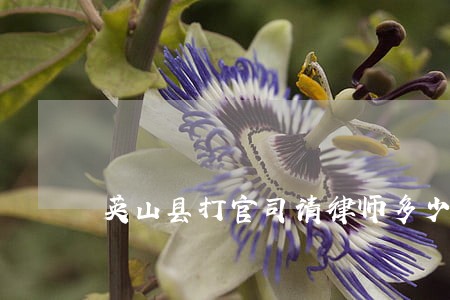 英山县打官司请律师多少钱 英山县打官司请律师多少钱