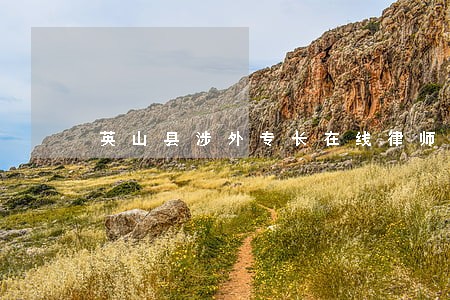 英山县涉外专长在线律师