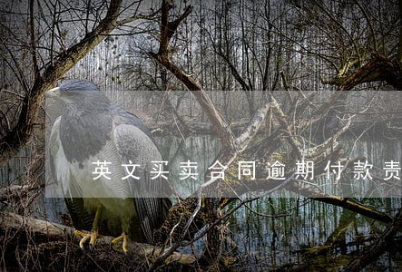 英文买卖合同逾期付款责任翻译 英文买卖合同逾期付款责任翻译