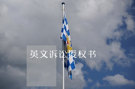英文诉讼授权书 英文诉讼授权书