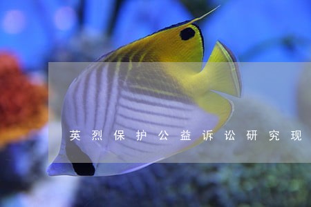 英烈保护公益诉讼研究现状