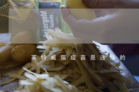 英特威猫疫苗是违法的 英特威猫疫苗是违法的