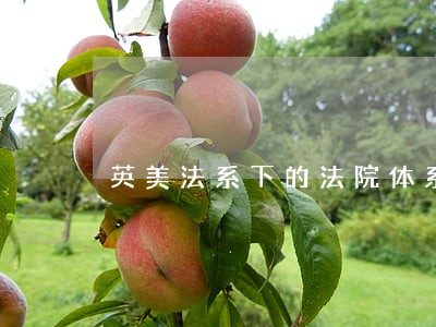 英美法系下的法院体系