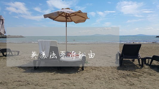 英美法系诉讼由 英美法系诉讼由