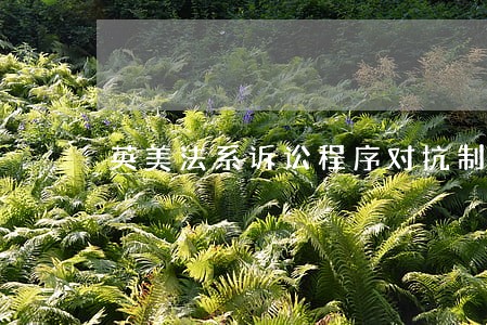 英美法系诉讼程序对抗制