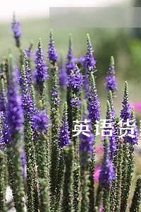 英语货款逾期 英语货款逾期