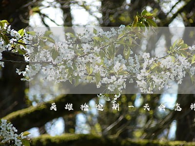 英雄枪逾期一天会怎样 英雄枪逾期一天会怎样