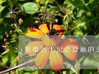 英雄烈士纪念设施的公益诉讼 英雄烈士纪念设施的公益诉讼
