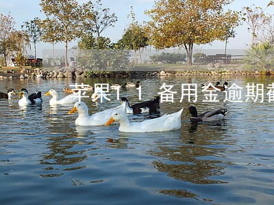 苹果11备用金逾期截图 苹果11备用金逾期截图