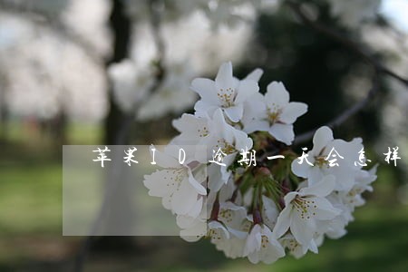 苹果ID逾期一天会怎样 苹果ID逾期一天会怎样