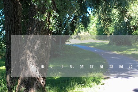 苹果x手机贷款逾期图片 苹果x手机贷款逾期图片