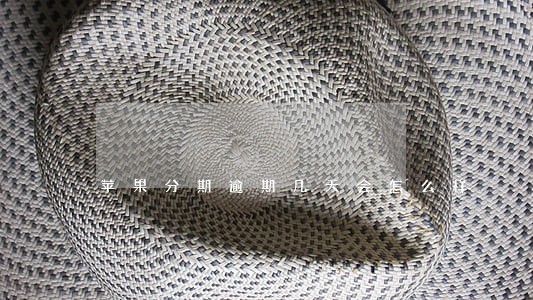 苹果分期逾期几天会怎么样 苹果分期逾期几天会怎么样