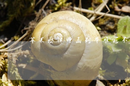 苹果发律师函列举唯冠不实陈述 苹果发律师函列举唯冠不实陈述