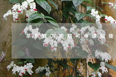 苹果官方逾期可申请赔偿吗 苹果官方逾期可申请赔偿吗