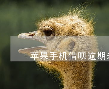 苹果手机借呗逾期未还截图 苹果手机借呗逾期未还截图