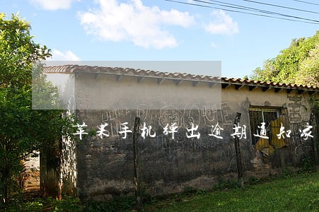 苹果手机弹出逾期通知家人 苹果手机弹出逾期通知家人