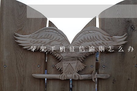 苹果手机征信逾期怎么办 苹果手机征信逾期怎么办