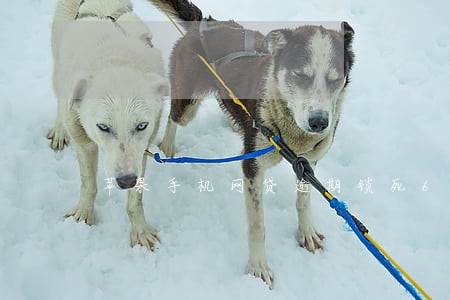 苹果手机网贷逾期锁死6 苹果手机网贷逾期锁死6