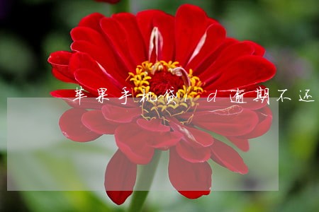 苹果手机贷id逾期不还 苹果手机贷id逾期不还