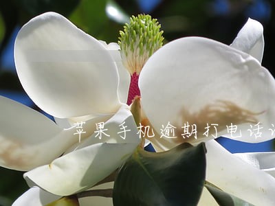 苹果手机逾期打电话记录截图 苹果手机逾期打电话记录截图