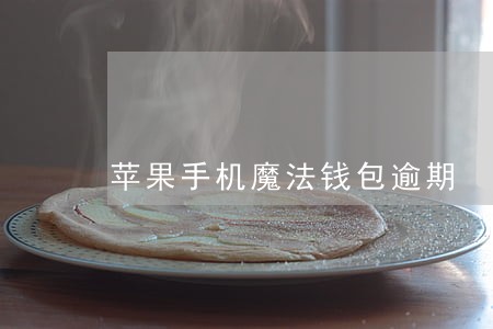 苹果手机魔法钱包逾期