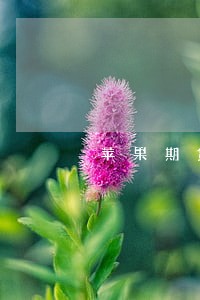苹果期货违法吗 苹果期货违法吗