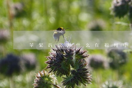 苹果诉讼为什么在福州中院