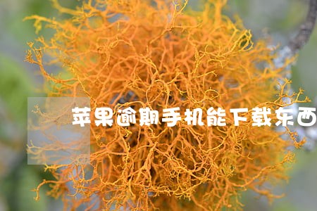 苹果逾期手机能下载东西吗 苹果逾期手机能下载东西吗