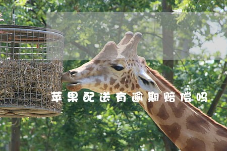 苹果配送有逾期赔偿吗 苹果配送有逾期赔偿吗