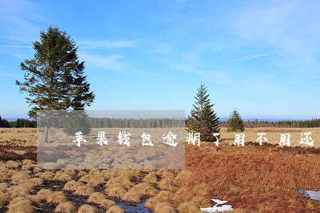 苹果钱包逾期了用不用还 苹果钱包逾期了用不用还
