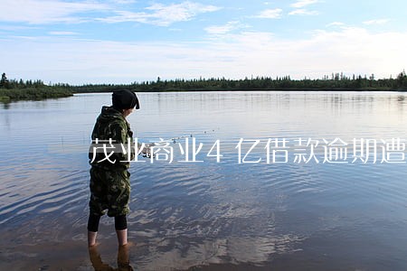 茂业商业4亿借款逾期遭问询 茂业商业4亿借款逾期遭问询