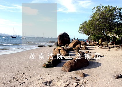 茂南法院工会换届 茂南法院工会换届