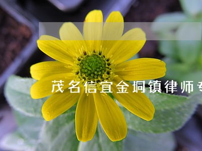 茂名信宜金垌镇律师专业擅长推荐 茂名信宜金垌镇律师专业擅长推荐