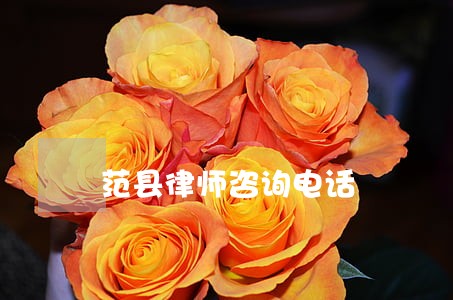 范县律师咨询电话 范县律师咨询电话