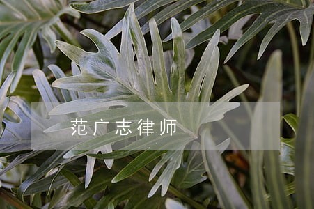 范广志律师 范广志律师