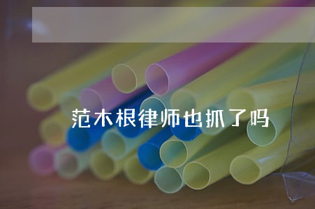 范木根律师也抓了吗 范木根律师也抓了吗