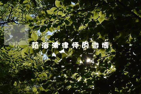 范海涛律师的微博 范海涛律师的微博