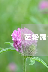 范艳霞律师 范艳霞律师