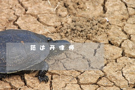 范达开律师 范达开律师